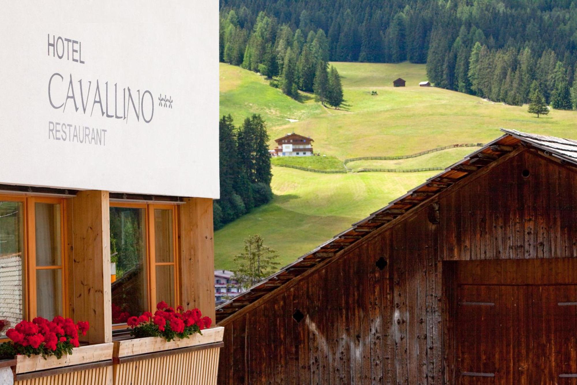 Hotel Cavallino Badia  Exteriér fotografie